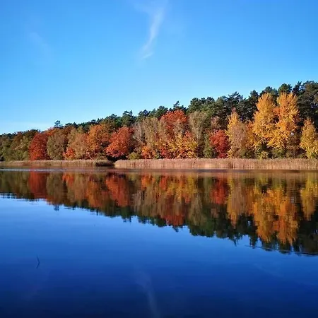 Appartement Ferienhaeuschen In Beetz - In 5 Min Am Und Wald Kremmen