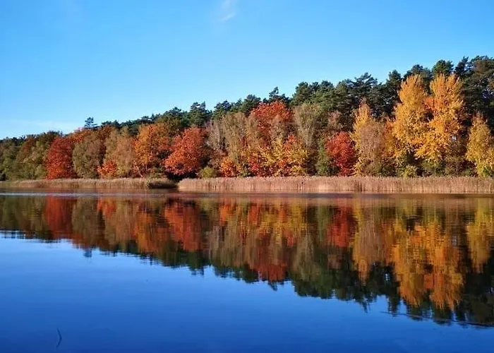 아파트 Ferienhaeuschen In Beetz - In 5 Min Am Und Wald Kremmen