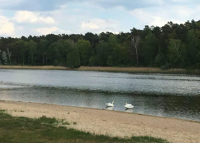 Ferienhaeuschen In Beetz - In 5 Min Am Und Wald *