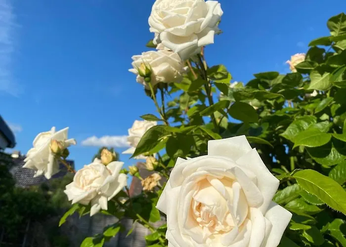 Ferienhaeuschen In Beetz - In 5 Min Am Und Wald Kremmen